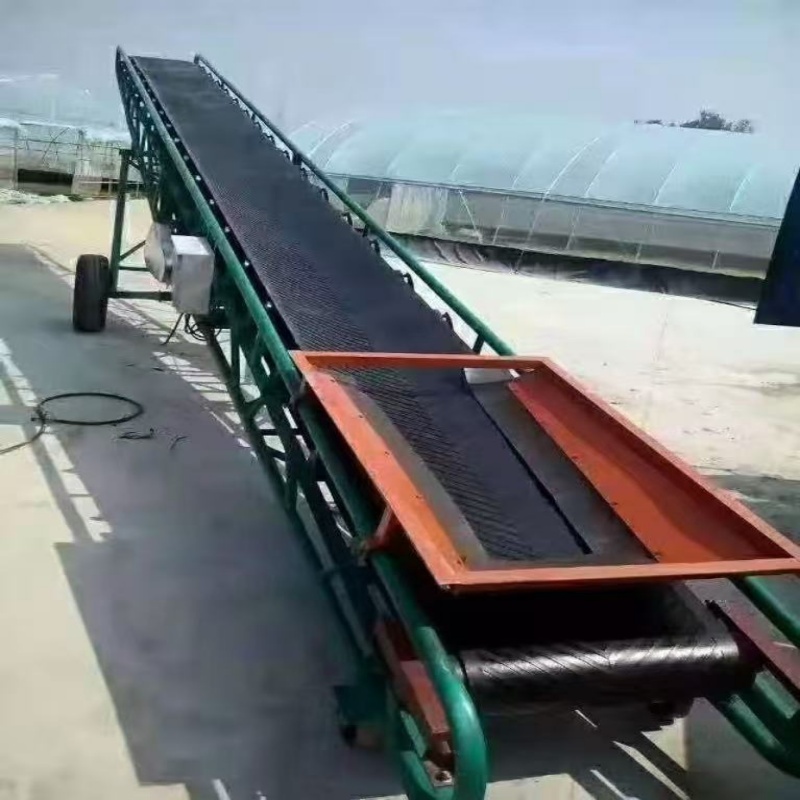 微信圖片_20260523145608_226_17_副本.jpg